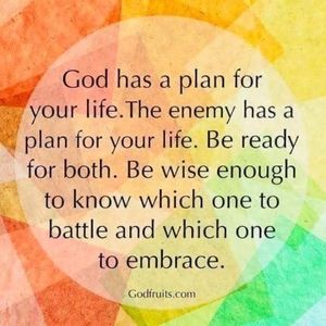 Meet your Posher, Patsy